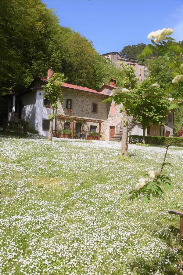 Il Molino Di Serravalle Bibbiena Extérieur photo